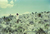 1392 Puebla, México.jpg