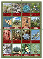 planilla5.pdf