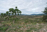 DK0720 Mixteca Baja, Oaxaca.jpg