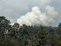 XR003 003 Invendio forestal en RB Sierra Tecuani.jpeg