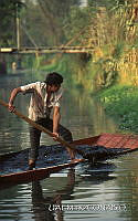 3R 01314 Agricultura en chinampas.jpg