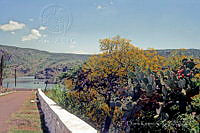 DK2361 Aguascalientes, México.jpg