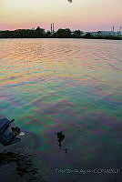 FBA0563 Tabasco, México.jpg