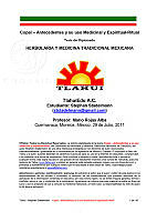 Tesina- COPAL v1.2.pdf