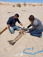 RE006 0087 TrabajoCampo_17.tif