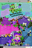 PUREPECHA_orquideas.jpg