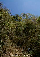 FBA1286 Miahuatlán de Porfirio Días_04.jpg