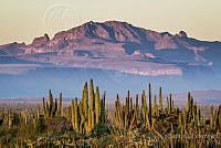 BT17 Mulegé, Baja California Sur.JPG