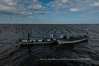 IMDOC4134 Panorámicas de INAPESCA.jpg