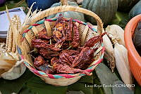 LRP 1697 _Zea mays, Cucurbirta, Capsicum_.jpg