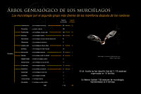 02 Arbol OK.jpg