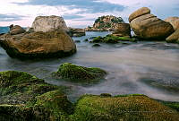 MALR07 Acapulco, Guerrero.jpg