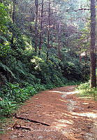 FBA1067 Las cascadas Comaltepec_09.jpg