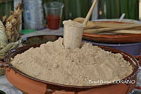 ZG013 0052 Zea mays.jpg