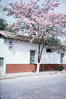 DK2217 Huetamo, Michoacán (2).jpg