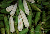 DK0665 San Andrés Tuxtla, Veracruz.jpg