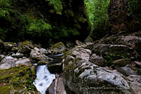 IDG0929  Sierra Gorda, Querétaro.jpg