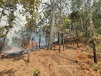 XE006 003 Incencio forestal Nevado de Toluca.jpg