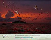 Varias especies de murciélagos.jpg