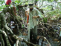 MM001 Catemaco, Veracruz.jpg