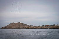 IDG Nat 0023 Isla Navidad.jpg