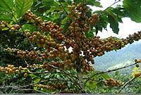 DSCF6811.JPG