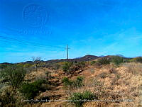 LI005 0090 Vegetación natural y desmonte.jpg