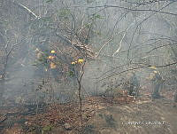 WH002 026 liquidacion de incendio.jpg