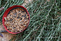 LRP 1694 Phaseolus; Salvia rosmarinus.jpg