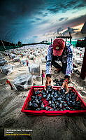 52_HUMANO_EXPO_2016-12-13_201802_7445.jpg
