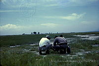 4470 Salinas, Estado de México.jpg