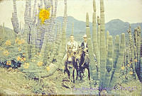 3194 Stenocereus thurberi.jpg