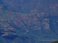 OOG0200 Oaxaca, México.jpg