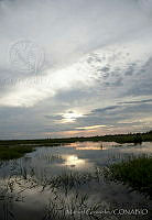 MGvarios164 Minatitlán, Veracruz.jpg