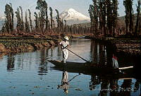 DK2001 Xochimilco, Distrito Federal.jpg