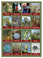 planilla6.pdf