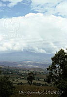 DK2041 Toluca, Estado de México.jpg