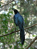 DSC08681.jpg
