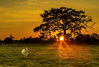 JDBP15 Santiago Jamiltepec.jpg