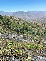 XR003 005 Invendio forestal en RB Sierra Tecuani.jpeg