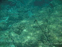 EFBP031 Loreto, Baja California Sur.jpg