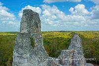 ZAPF0557 Calakmul, Campeche.jpg