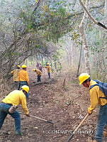 WH005 015 Nueva linda brigadista.jpg