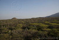 MASM03803 Tehuacán-Cuicatlán, Puebla-Oaxaca.jpg