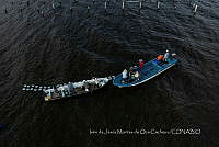 IMDOC4136 Panorámicas de INAPESCA.jpg