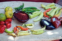 DK0621 Bixa orellana.jpg