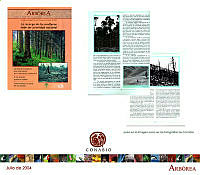 arborea-jul04.jpg