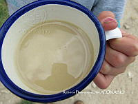 ZG014 0380 Zea mays.jpg