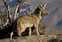 msicilia_MG_0220.jpg