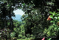 DK1063 Tapijulapa, Tabasco.jpg